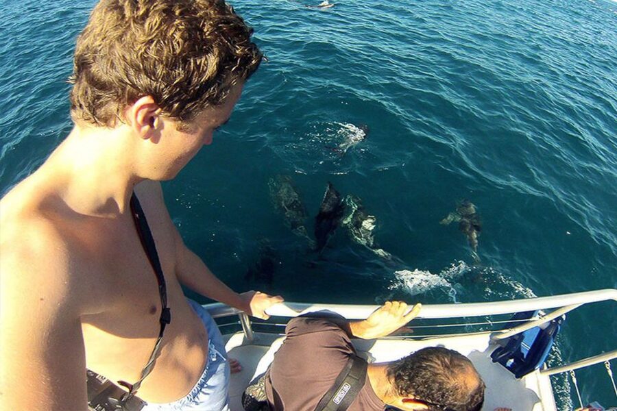 Pula: National Park Brijuni Dolphin Cruise with Dinner - Dinner under the evening sky