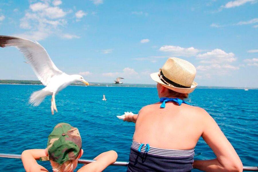 Pula: National Park Brijuni Island Visit & Dolphin Cruise - Practical advice for a smoother day