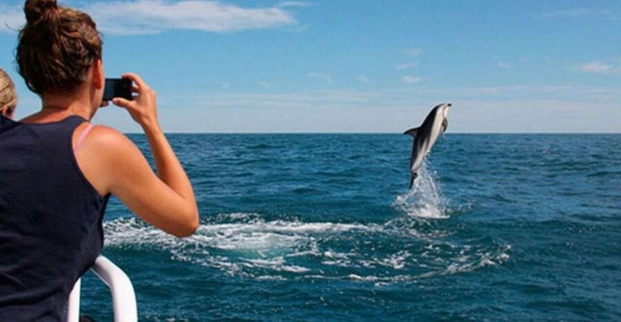 Pula: National Park Brijuni Island Visit & Dolphin Cruise - St. Jerolim Island: two hours for swimming and exploring