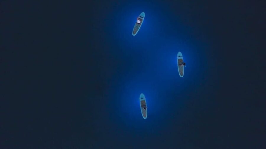 Pula: Night LED Stand-Up Paddle Board Tour - Booking flexibility and timing