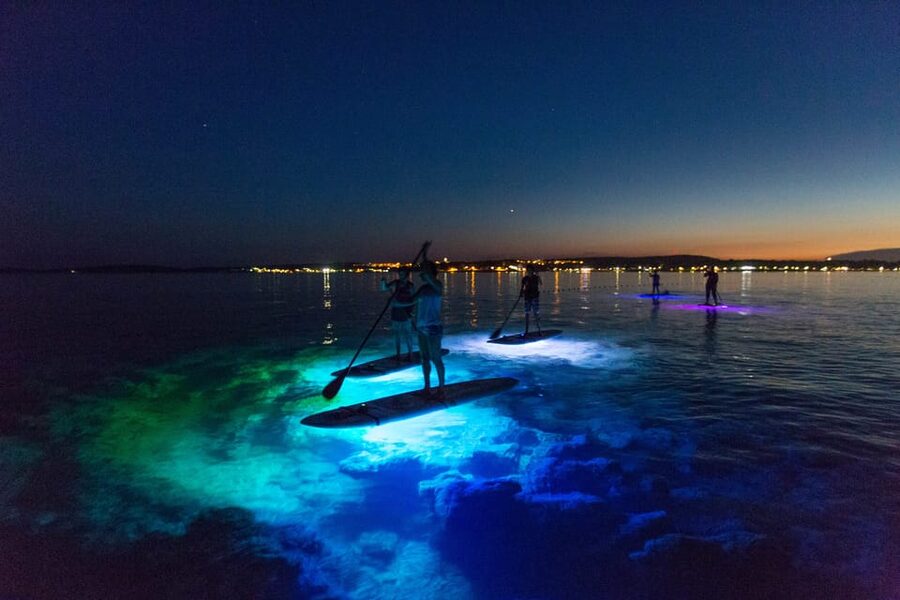 Pula: Night LED Stand-Up Paddle Board Tour - What the price includes at $67