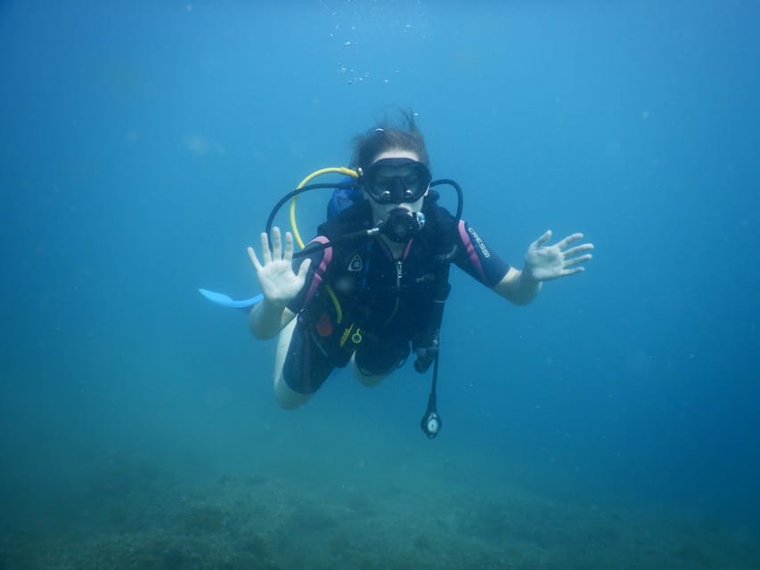 Pula: Private Introduction to Scuba Diving - Searching for Octopus and Seahorses