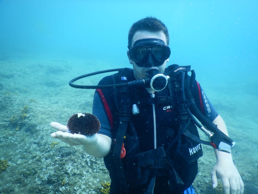 Pula: Private Introduction to Scuba Diving - Weather, Health, and Age Rules