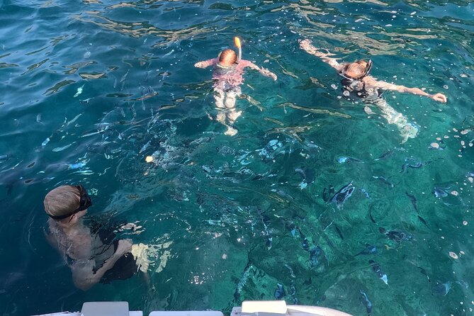 Pula Private Sailing Tour: 4-Hour Customizable Sail, Snorkel, SUP - Who will enjoy this Pula sailing tour?