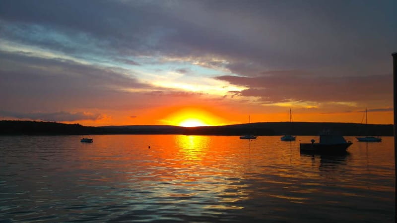 Punat: Stara Baška Wild Bays Private 3,5 h trip - Is $317 good value for your group?