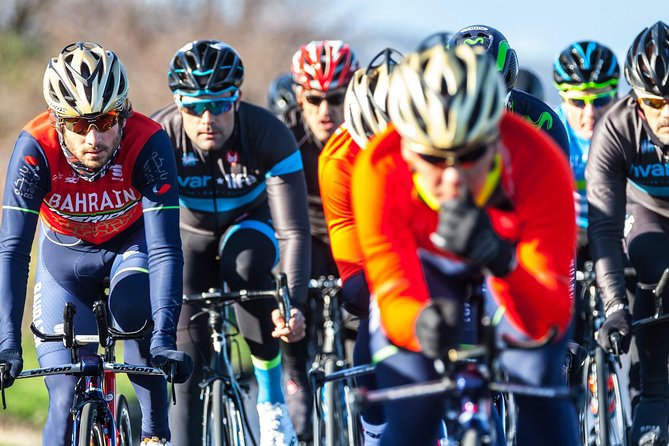 Pure Cycling Experience - Road Bike - Choosing the right bike for the road