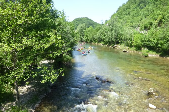 Rafting and Kayaking Adventure in River Kupa - What the 10-kilometer route is like