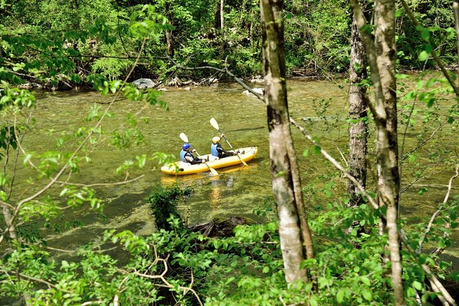 Rafting and Kayaking Adventure in River Kupa - Is $60.21 a fair price?