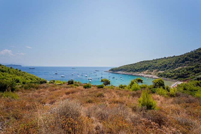 Rent a Boat! (Group Option - Half Day) - Who should book this private cruise?