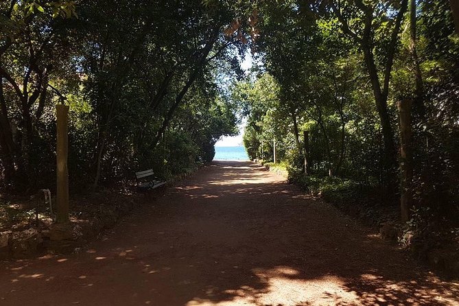 Rent a speed boat and explore beaches and coves of Elaphiti Islands - The practical drawbacks to keep in mind