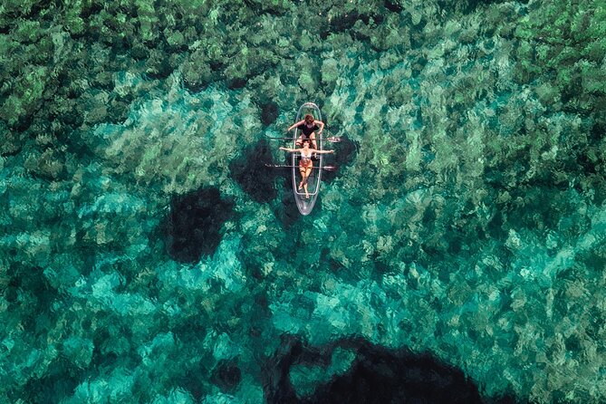 Rent a Transparent Kayak - Discover the Underwater Magic - Weather, timing, and practical planning