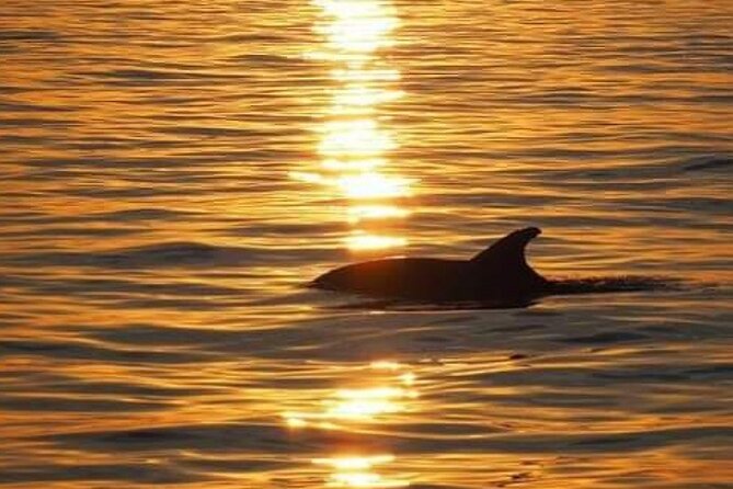 Romantic Boat Trip with Dolphin Watching - Booking, cancellation, and weather details