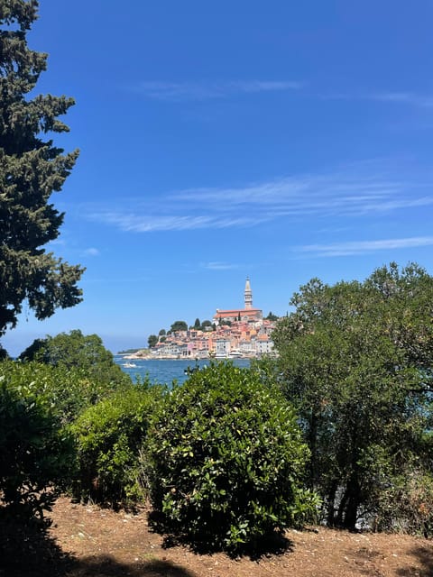 Rovinj: BUBA SUNSET KAYAK, snorkeling&driknks incuded - Cliff jumping on Sveta Katarina