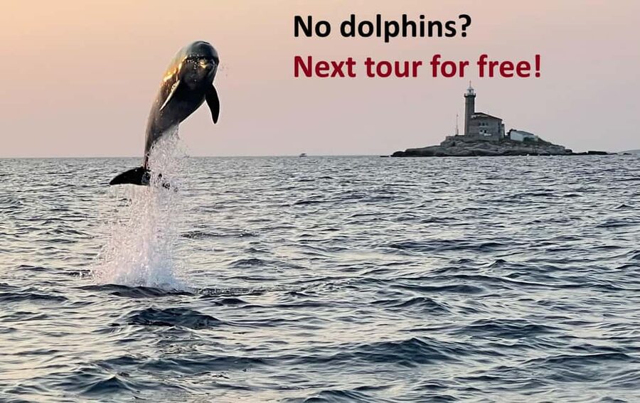 Rovinj: Dolphin Watching Sunset Speedboat Tour with Drinks - Key points to know before booking