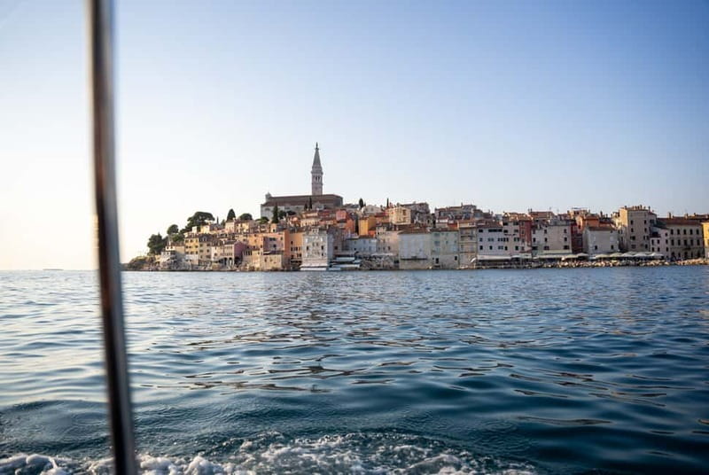 Rovinj: Dolphin Watching Sunset Speedboat Tour with Drinks - Drinks, comfort, and what you should bring