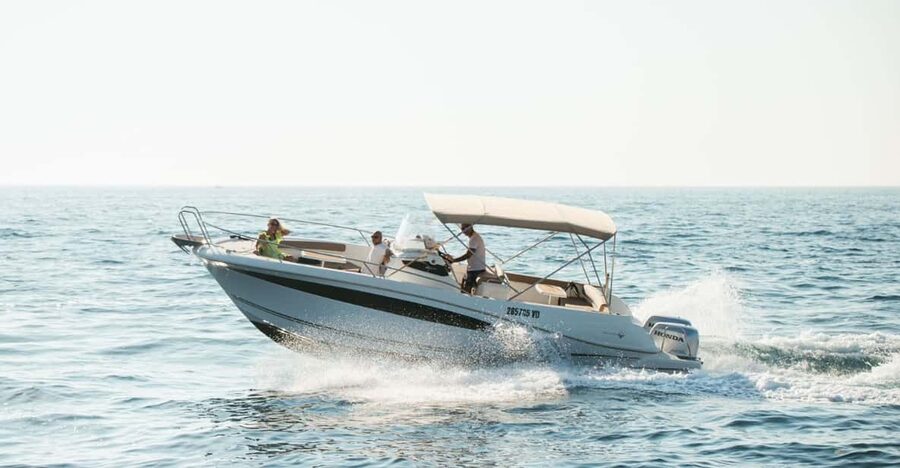 Rovinj: Family Friendly Dolphin Watching Tour - Key points to know before booking