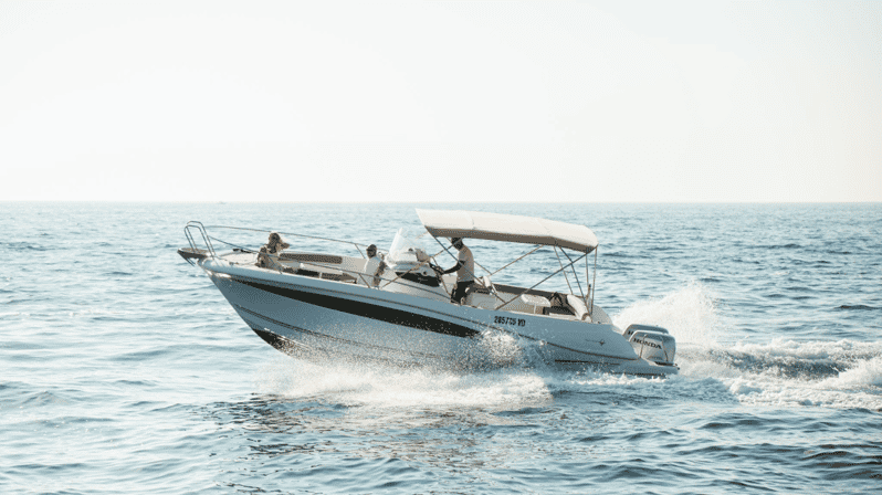 Rovinj: Family Friendly Dolphin Watching Tour - A family outing with real educational value