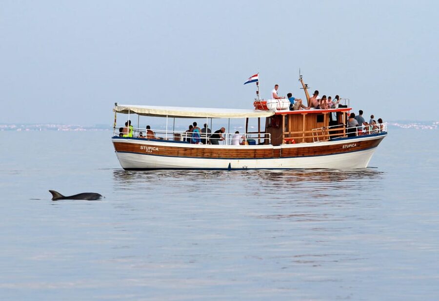Rovinj half-day cruise: swim stops, drinks & brunch included - Is $45 a fair price?
