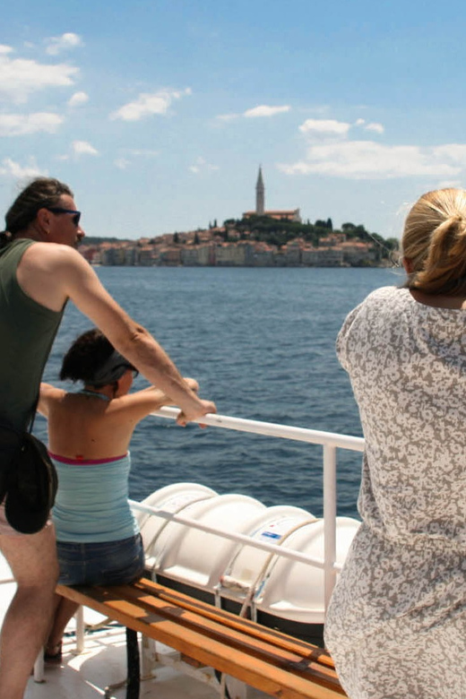 Rovinj: Lim Fjord and Pirate Cave Boat Tour - Entering Lim Fjord at a slower pace