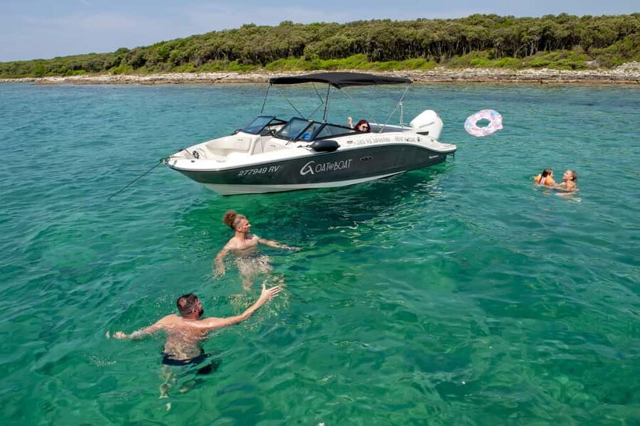 Rovinj or Vrsar: Lim Fjord & Rovinj islands Speedboat Tour - Dolphin sightings and the best departure strategy