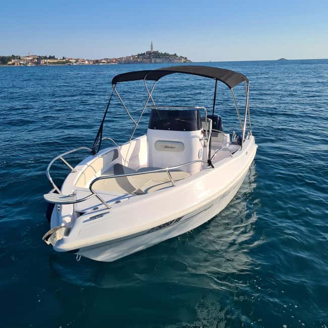 Rovinj: Shared Dolphin and Sunset Tour with Drinks - Who will enjoy this Rovinj dolphin tour?