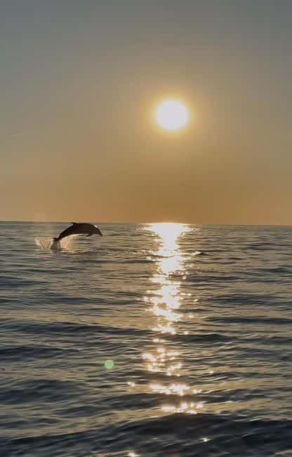 Rovinj: Shared Dolphin and Sunset Tour with Drinks - The first 10 minutes on the speedboat