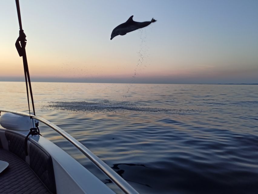 Rovinj: Sunrise Dolphins & Fishermen at Work Speedboat Tour - Sunrise over the Istrian hills