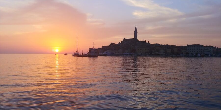 Rovinj: Sunset Boat Trip with Dolphin Watching - Looking for dolphins in their natural home