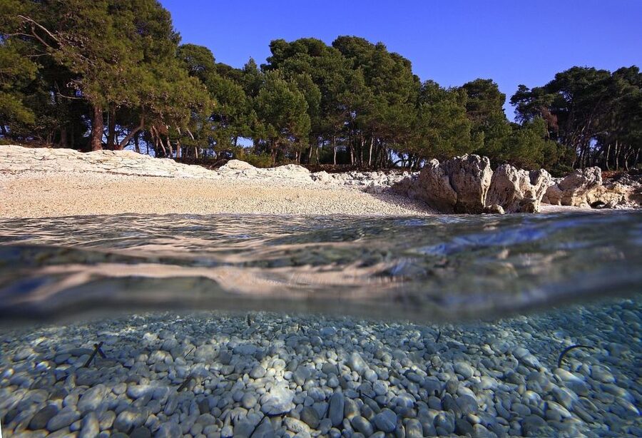 Sakarun Beach Full-Day Guided Tour from Zadar - Four hours at Sakarun Beach