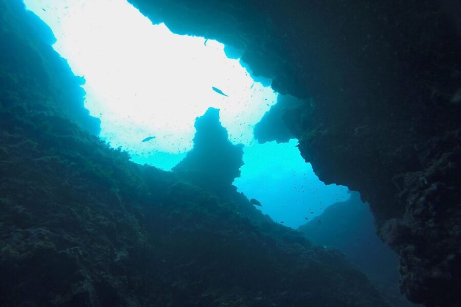 Scuba Diving in Dubrovnik: 1 Dive for Certified Divers - Starting at the Dubrovnik Palace hotel