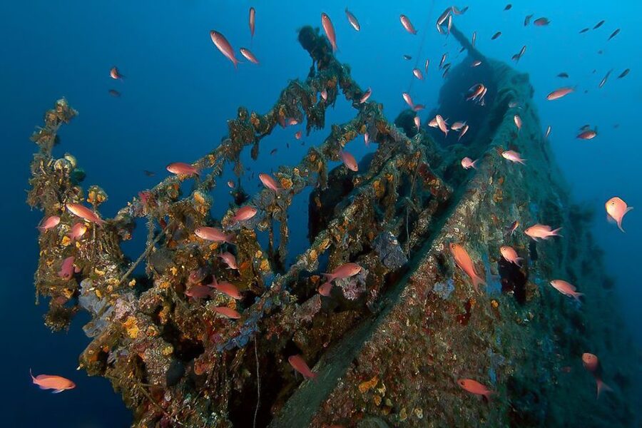Scuba Diving in Dubrovnik: 1 Dive for Certified Divers - Bezdan and the remains of Aurora