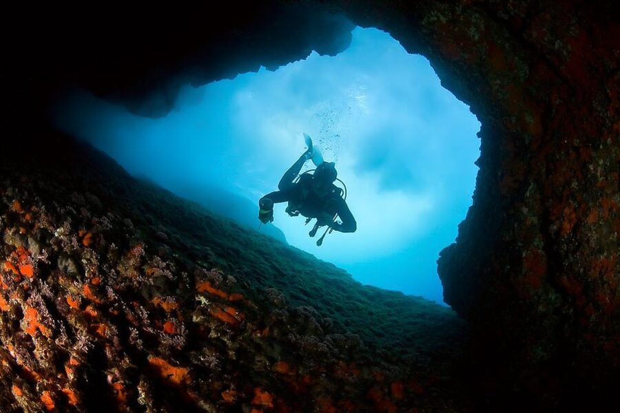 Scuba Diving in Dubrovnik: 1 Dive for Certified Divers - The guide can make or break the session