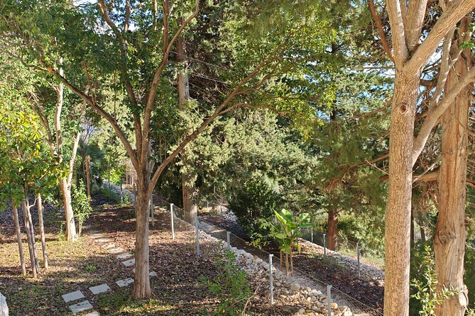 Secret Marjan Park Hiking Tour in Split - What the guide can add to your Split visit