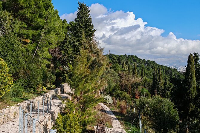 Secret Marjan Park Hiking Tour in Split - Leaving the old streets for Marjan’s pine trails