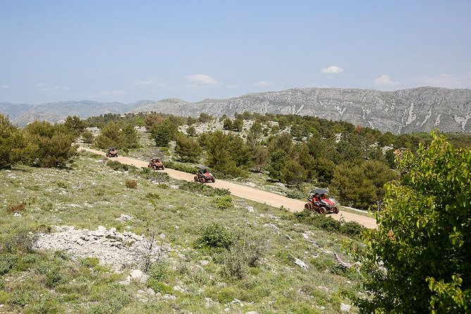 Self-drive Off Road Buggy - How personal is the small-group format?
