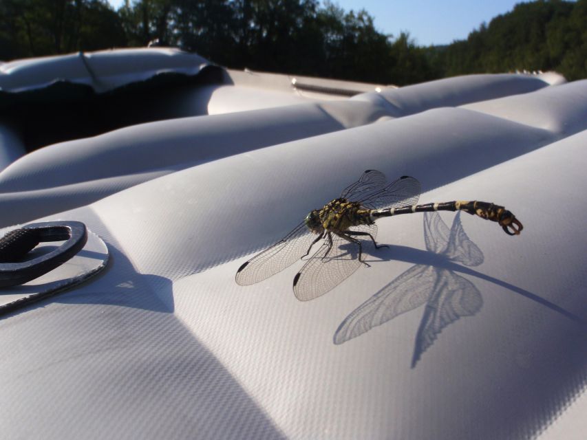 Severin na Kupi: Canoeing and Kayaking on the Kupa River - Who will enjoy this most