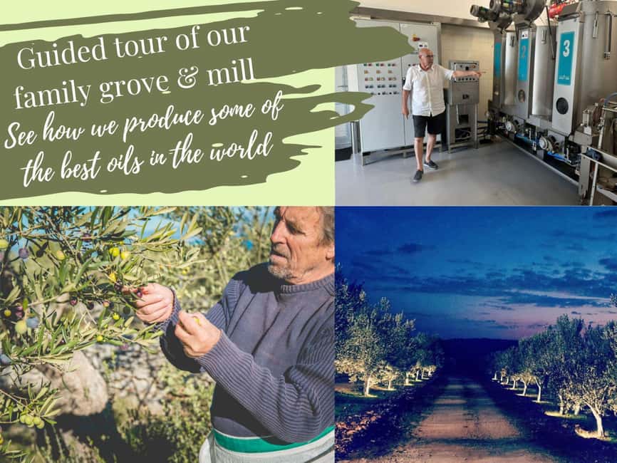 Sibenik: Stunning views, History & Tasting - Croatia in day - How the olive oil tasting works