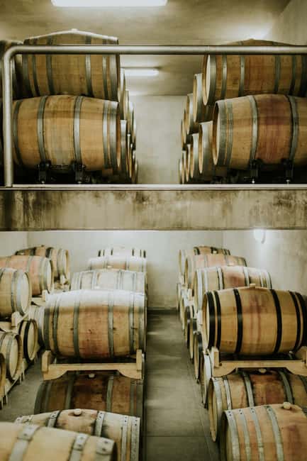 Šišan: Wine Tasting: Organic Wines of Southern Istria - Is $64 a fair price?