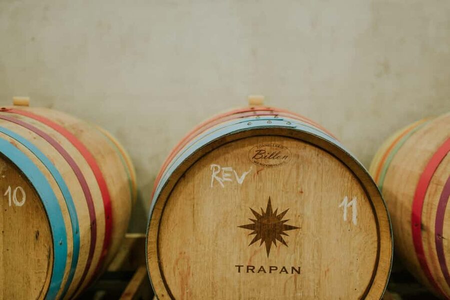 Šišan: Wine Tasting: Organic Wines of Southern Istria - How to make the most of the 90 minutes