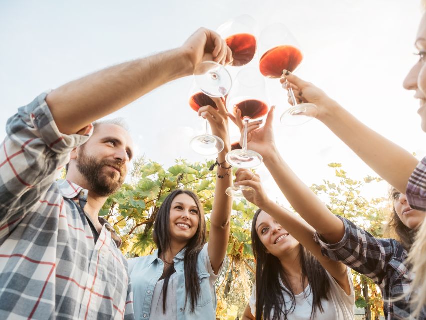 Šišan: Wine Tasting: Organic Wines of Southern Istria - Meeting Bruno and hearing the winery story