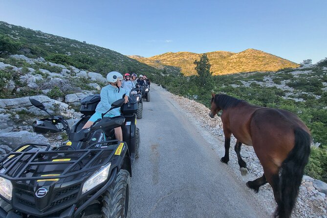 Skywalk Biokovo ATV Quad Tour - A picnic near the wild horses