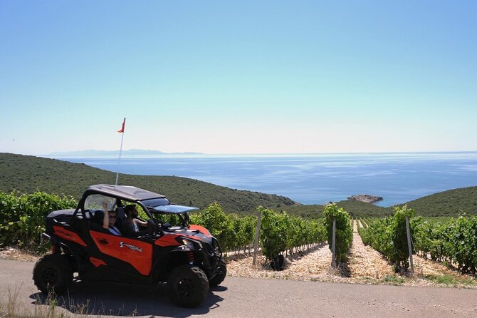 Slurp of Grk Korcula Wine Tour | Wine Tasting in Lumbarda - What makes the guide important