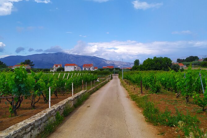 Slurp of Grk Korcula Wine Tour | Wine Tasting in Lumbarda - Is the $119.34 price good value?