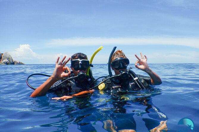 Small-Group Introductory Scuba Diving in Pula - What makes this Pula scuba session worthwhile