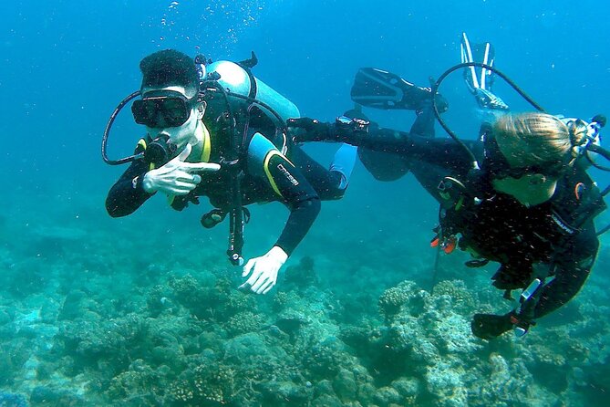 Small-Group Introductory Scuba Diving in Pula - The 30-minute coastal session
