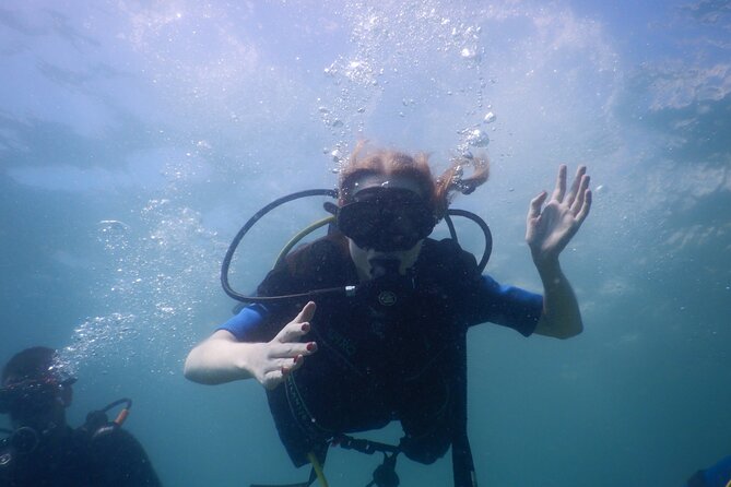 Small-Group Introductory Scuba Diving in Pula - Will you swim, or will the instructor guide you?