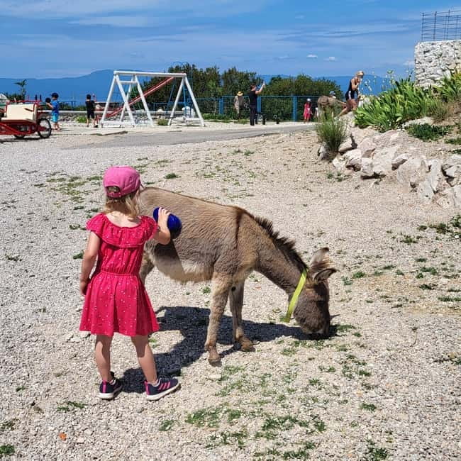 Šmrika (near Rijeka/Krk/Crikvenica) Donkey Farm Family Fun - Two riding rounds for children up to 35 kilograms