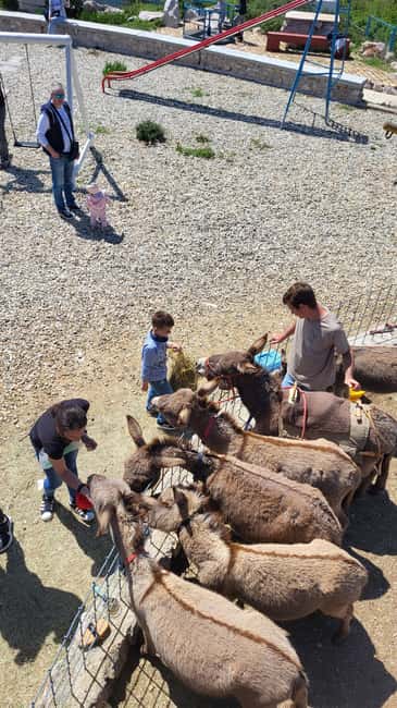 Šmrika (near Rijeka/Krk/Crikvenica) Donkey Farm Family Fun - The small carriage drive around the yard
