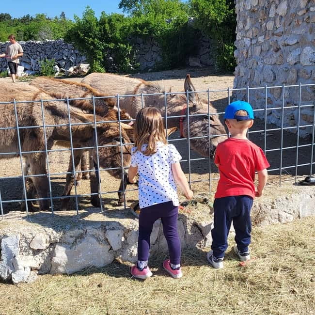 Šmrika (near Rijeka/Krk/Crikvenica) Donkey Farm Family Fun - Donkey milk, endangered breeds, and local farm animals