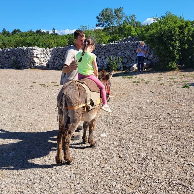 Šmrika (near Rijeka/Krk/Crikvenica) Donkey Farm Family Fun - Kvarner Bay views and a useful play area